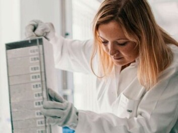 Cecilie Kyrø at the Danish Cancer Society Research Center studies
the connection between cancer and the intake of whole grains. (Photo: Nordforsk / Kim Wendt)
Cecilie Kyrø at the Danish Cancer Society Research Center studies
the connection between cancer and the intake of whole grains. (Photo: Nordforsk / Kim Wendt)