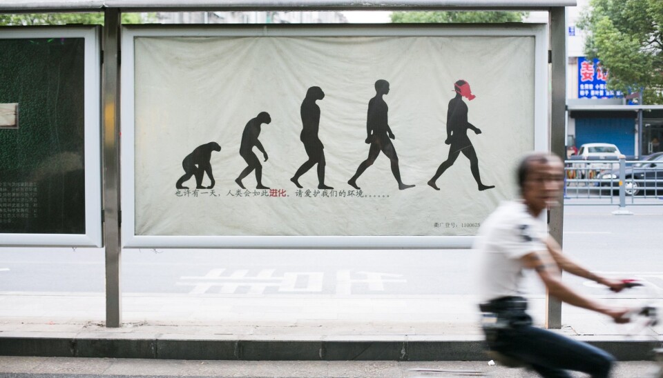 Maybe humanity will evolve like this. Please take care of the environment. (Illustrative photo: Annica Thomsson)