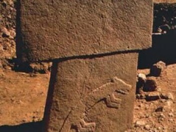 T-shaped pillars with carved bas-relief animals at Göbekli Tepe. (Photo: Wikimedia Commons) T-shaped pillars with carved bas-relief animals at Göbekli Tepe. (Photo: Wikimedia Commons)