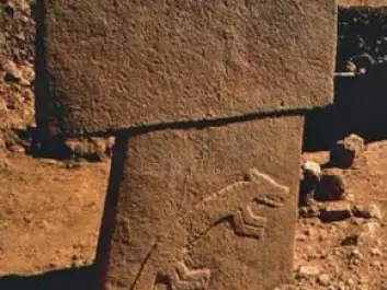 T-shaped pillars with carved bas-relief animals at Göbekli Tepe. (Photo: Wikimedia Commons)