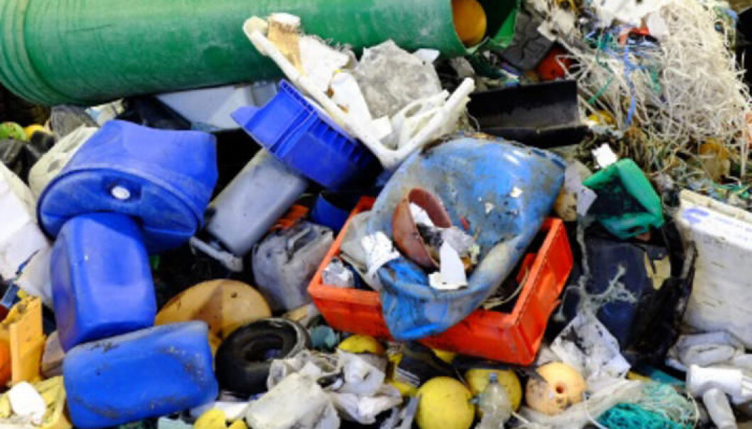 Some of the beach waste found on Svalbard. (Photo: Eirik Mikkelsen) Some of the beach waste found on Svalbard. (Photo: Eirik Mikkelsen)