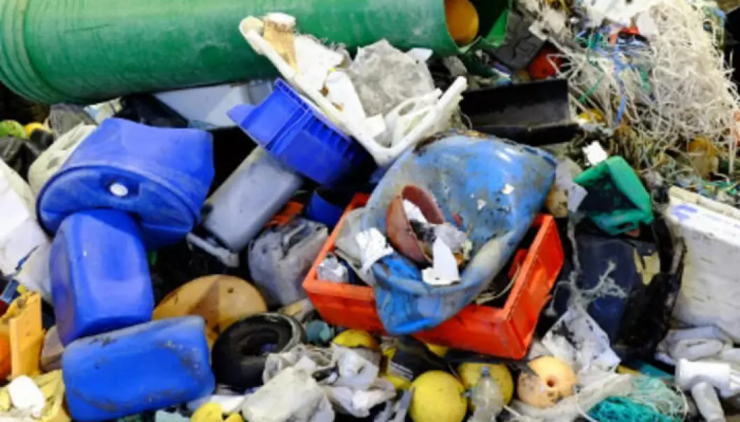 Some of the beach waste found on Svalbard. (Photo: Eirik Mikkelsen)