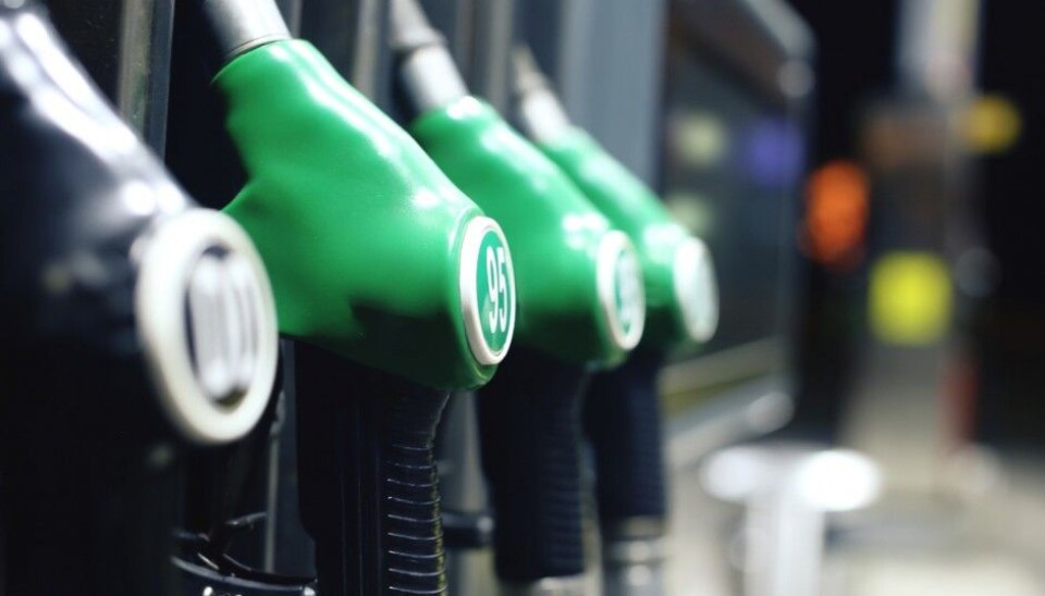 Researchers at the Norwegian University of Life Sciences (NMBU) in Ås have already contributed to major breakthroughs in biofuel production from trees, after Ås researchers discovered a new kind of enzyme in 2010. (Photo: FXQuadro / Shutterstock / NTB scanpix)