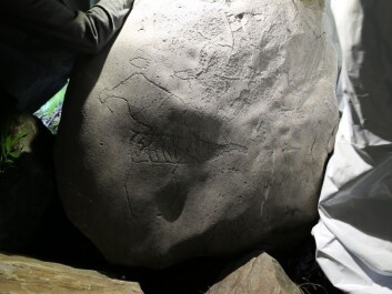 The male figure was painted with a mixture of ochre and fat. (Photo: UiT The Arctic University of Norway) The male figure was painted with a mixture of ochre and fat. (Photo: UiT The Arctic University of Norway)