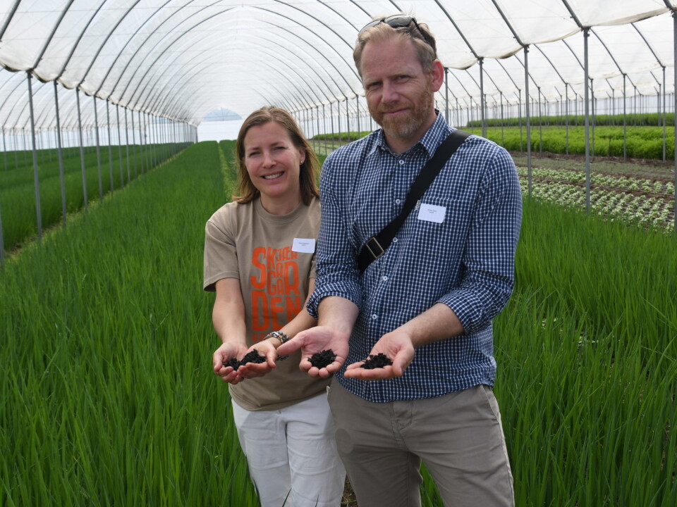 Sintef researchers Maria Kollberg Thomassen and Markus Steen at the Skjærgaarden nursery. (Photo: Lisbet Jære)