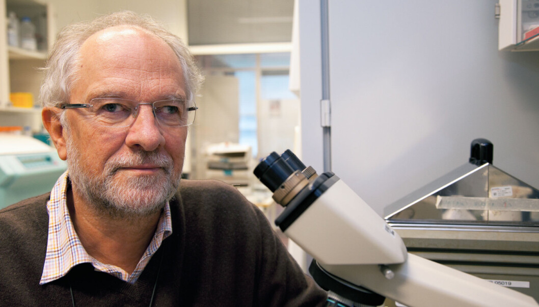 Professor Gustav Gaudernack hopes that his most recent cancer vaccine can be used against all types of cancer. (Photo: Yngve Vogt) Professor Gustav Gaudernack hopes that his most recent cancer vaccine can be used against all types of cancer. (Photo: Yngve Vogt)
