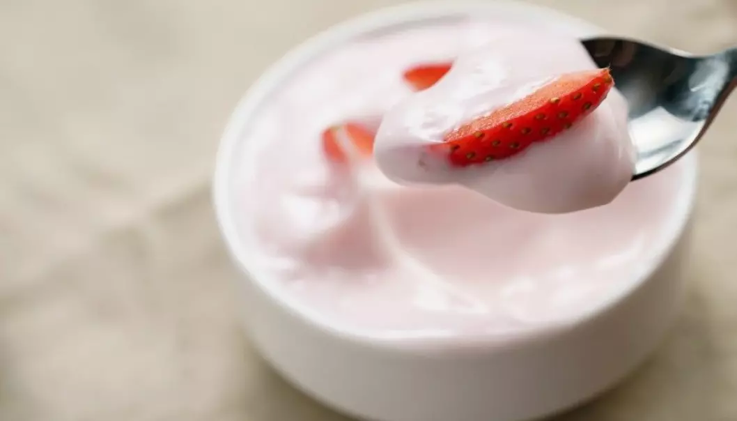 Bacteria cultures, for instance in some fermented milk and yoghurt products, are unlikely to have much impact on overweightness or obesity, according to a review and meta-analysis of trials with obese patients.  (Illustrative photo: GooDween123 / Shutterstock / NTB scanpix)