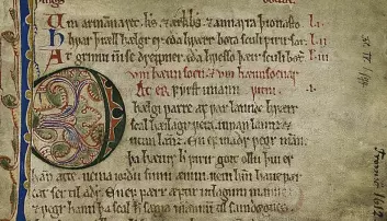 Thrifty medieval bailiffs accidentally saved Old Norse texts