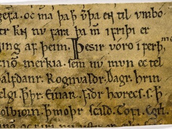 There are a number of different versions of the saga of Olav the Holy. This particular manuscript, from the late part of the 1100s, has bits of text from each of the two major versions, from Snorres Heimskringla and from Fagrskinna. There are also pieces of text that are unique to this manuscript. (Source: digitalarkivet.no) There are a number of different versions of the saga of Olav the Holy. This particular manuscript, from the late part of the 1100s, has bits of text from each of the two major versions, from Snorres Heimskringla and from Fagrskinna. There are also pieces of text that are unique to this manuscript. (Source: digitalarkivet.no)