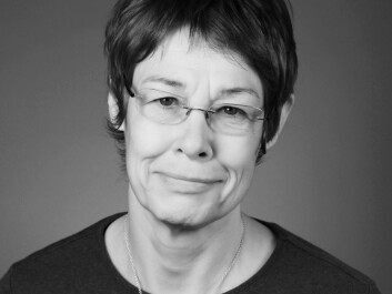 According to Anne Hellum, the threshold for conducting sexual harassment cases in the courts of law is too high. (Photo: UiO) According to Anne Hellum, the threshold for conducting sexual harassment cases in the courts of law is too high. (Photo: UiO)