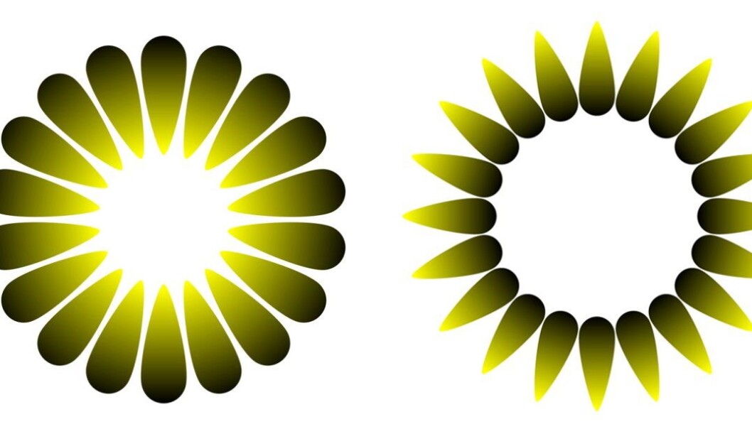 These two illusions are made according to a design by the psychologist and artist Akiyoshi Kitaoka. The figure on the left is called “Morning sunlight”, and appears to have a bright light at the centre. The other one is called “Evening dusk”, and it seems to have a dimmer interior and a glowing corona. Both figures are actually equally bright, inside and outside. (Figures: Bruno Laeng, Tor Endestad and Akiyoshi Kitaoka) These two illusions are made according to a design by the psychologist and artist Akiyoshi Kitaoka. The figure on the left is called “Morning sunlight”, and appears to have a bright light at the centre. The other one is called “Evening dusk”, and it seems to have a dimmer interior and a glowing corona. Both figures are actually equally bright, inside and outside. (Figures: Bruno Laeng, Tor Endestad and Akiyoshi Kitaoka)