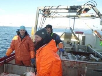 Helle Tessand Baalsrud and Sissel Jentoft on a fishing excursion in the Lofoten Islands, Norway. (Photo: Paul R. Berg) Helle Tessand Baalsrud and Sissel Jentoft on a fishing excursion in the Lofoten Islands, Norway. (Photo: Paul R. Berg)