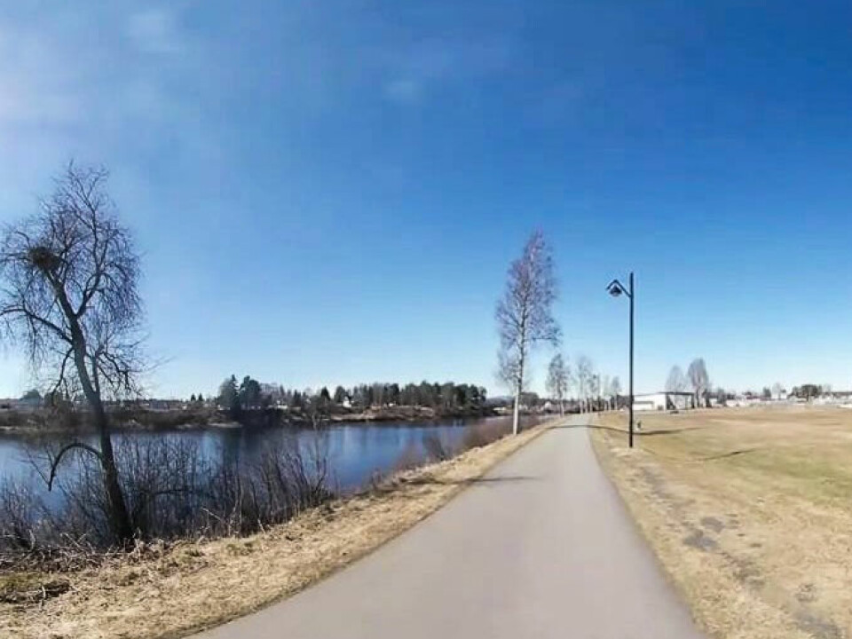 This is where the study subjects took their walk. (Photo: Høgskolen i Innlandet)