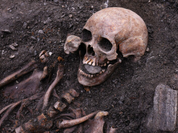 Folk custom? Many different burial practices have been identified. Some not seen before in Trondheim. (Photo: NIKU) Folk custom? Many different burial practices have been identified. Some not seen before in Trondheim. (Photo: NIKU)