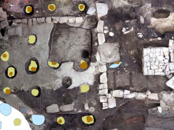 The third Church. The third church used wooden posts again (marked with colours). Dendrochronology of these posts revealed that the timbers were mostly cut in AD 1220 or 1221. (Photo: NIKU) The third Church. The third church used wooden posts again (marked with colours). Dendrochronology of these posts revealed that the timbers were mostly cut in AD 1220 or 1221. (Photo: NIKU)