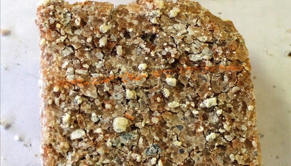 Salts from ancient seas reveal information about the oxygenation of the Earth’s atmosphere. Fragments of calcium sulfate are embedded in this sample. (Photo: Kärt Paiste)