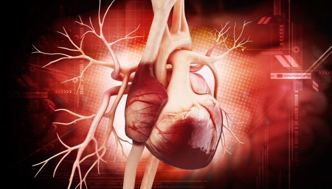 Chronic heart failure patients lack several of the bacteria groups which produce the anti-inflammatory substance butyrate. (Photo: Liya Graphics / Shutterstock / NTB scanpix) Chronic heart failure patients lack several of the bacteria groups which produce the anti-inflammatory substance butyrate. (Photo: Liya Graphics / Shutterstock / NTB scanpix)