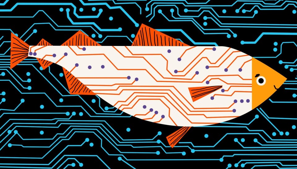 A Digital Fishing Trip