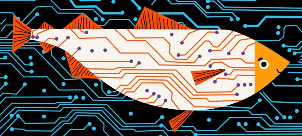 A Digital Fishing Trip