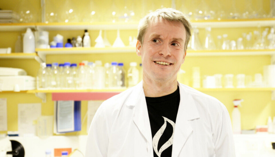 Cancer researcher Tom Dønnem and colleagues have struggled to publish results that go against an established truth in cancer research. He believes that the many cancer patients should be offered a new treatment strategy based on this change in understanding. (Photo: Rune Stoltz Bertinussen, Krysspress)