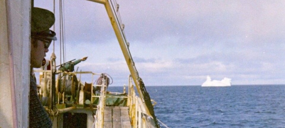 Scientists found plastics in a whale back in 1971