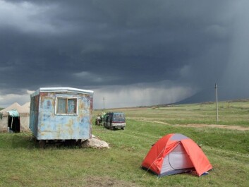 There aren’t many cafés in sight in the kingdom of the Bactrianus sparrow. The photo shows the area where the researchers did their fieldwork, in the steppes of Kazakhstan. (Photo: Ravinet et al.) There aren’t many cafés in sight in the kingdom of the Bactrianus sparrow. The photo shows the area where the researchers did their fieldwork, in the steppes of Kazakhstan. (Photo: Ravinet et al.)
