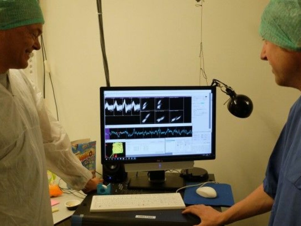 Edvard Moser and Jørgen Sugar follow the activity rate in the rat’s brain during the experiment. (Photo: Eivind Torgersen)
