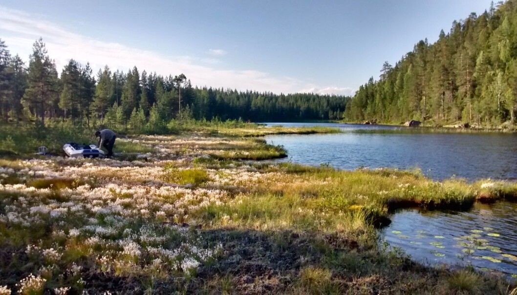 Lakes in Norway, Sweden and Finland and elsewhere across the northern hemisphere have become browner over the years, stained by dissolved organic carbon. (Photo from the research article) Lakes in Norway, Sweden and Finland and elsewhere across the northern hemisphere have become browner over the years, stained by dissolved organic carbon. (Photo from the research article)