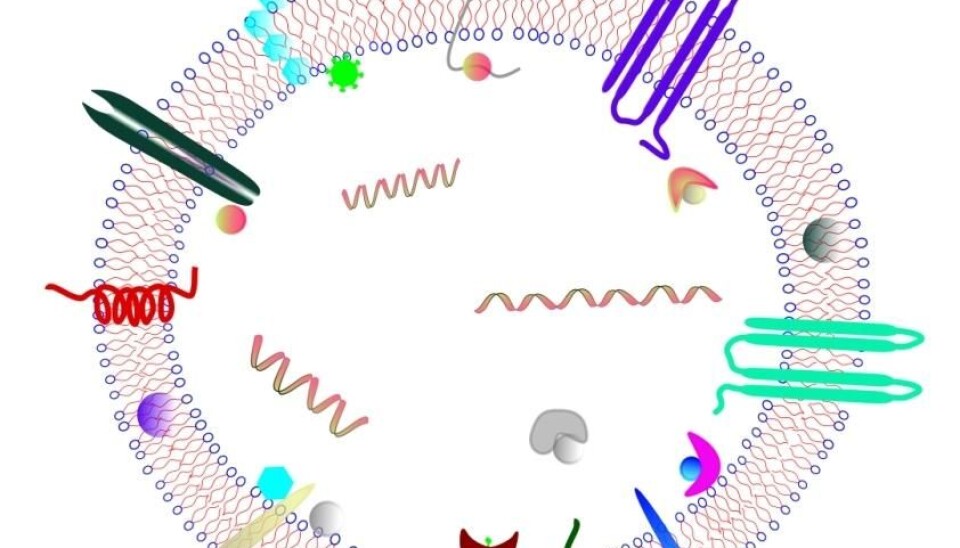 The answer may lie in vesicles. Here is a schematic drawing of a microvesicle. (Illustration: Santosh Phuyal)