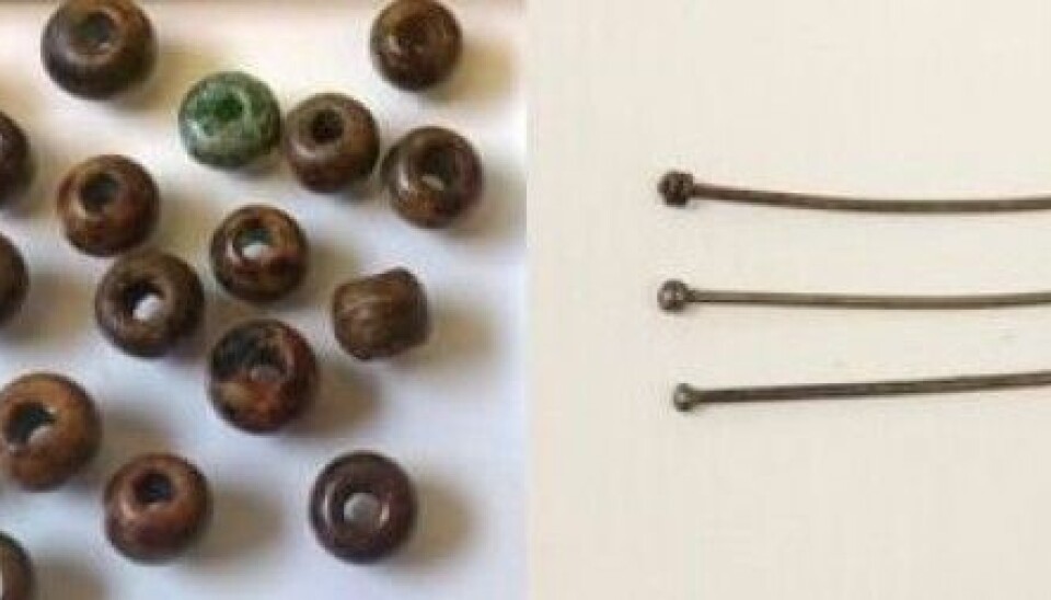 Beads and hairpins found under the floor of Bunge church. (Photo: Christoph Kilger / Visby campus / Uppsala University)