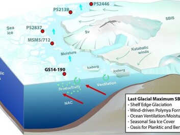 ILLUSTRATION: Arctic oasis in front of the NW Eurasian ice sheet during the last Ice Age, 20.000 years ago (from Knies et al. 2018, Nature Communications/Irene Lundquist) ILLUSTRATION: Arctic oasis in front of the NW Eurasian ice sheet during the last Ice Age, 20.000 years ago (from Knies et al. 2018, Nature Communications/Irene Lundquist)