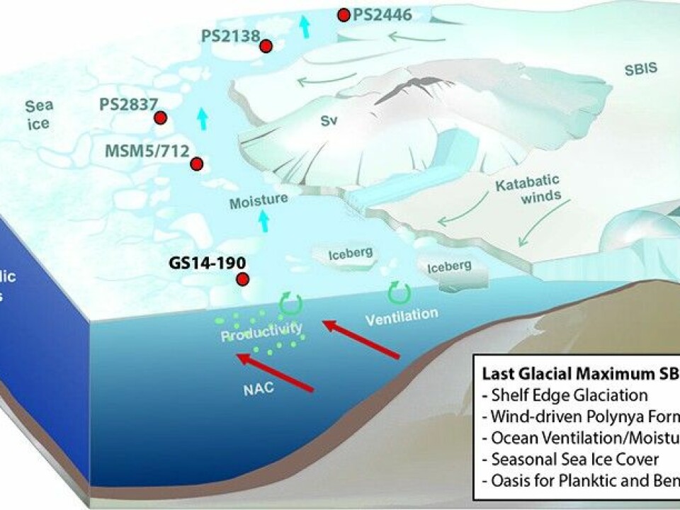 ILLUSTRATION: Arctic oasis in front of the NW Eurasian ice sheet during the last Ice Age, 20.000 years ago (from Knies et al. 2018, Nature Communications/Irene Lundquist)