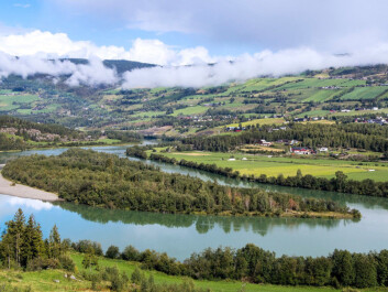 The Ringebu municipality in Gudbrandsdalen has now shifted to only hybrid and electric cars for some key services. (Photo: Shutterstock / NTB scanpix) The Ringebu municipality in Gudbrandsdalen has now shifted to only hybrid and electric cars for some key services. (Photo: Shutterstock / NTB scanpix)