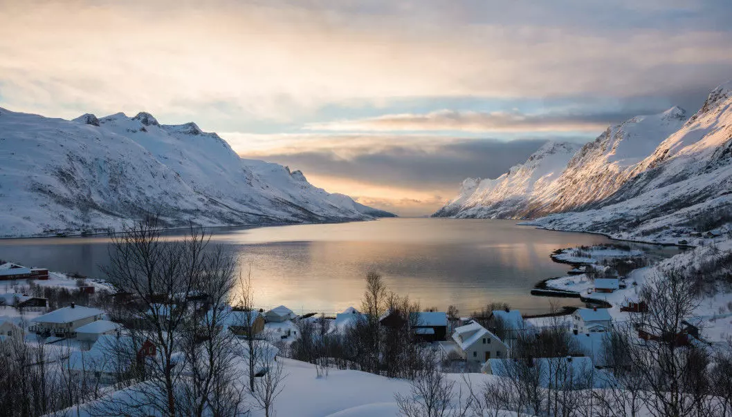 Трудно точно сказать, как изменение климата повлияет на окружающую среду Норвегии, потому что очень многие неклиматические факторы также могут играть роль. Но есть и четкие тенденции. (Фото: Йонгют Кумсри/Shutterstock/NTB scanpix)
