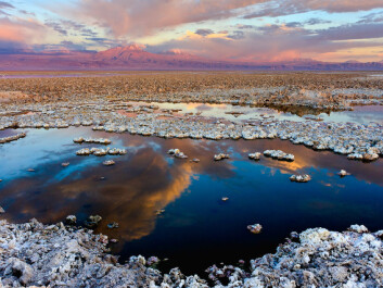 Producing electric-powered items requires batteries, and this requires vast amounts of minerals, in particular, lithium. But mining has severe consequences for the environment. Today most lithium reserves are found in South America in slat pan deposits known as salares. (Photo: Wikipedia)
Producing electric-powered items requires batteries, and this requires vast amounts of minerals, in particular, lithium. But mining has severe consequences for the environment. Today most lithium reserves are found in South America in slat pan deposits known as salares. (Photo: Wikipedia)