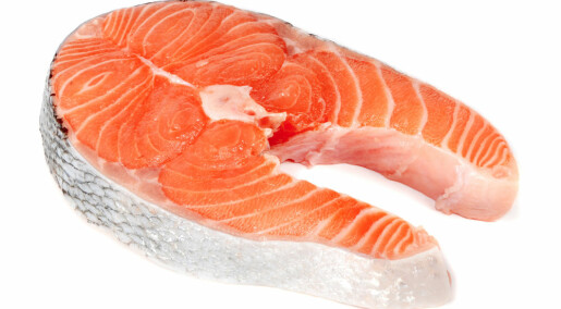 Farmed salmon retains good fats