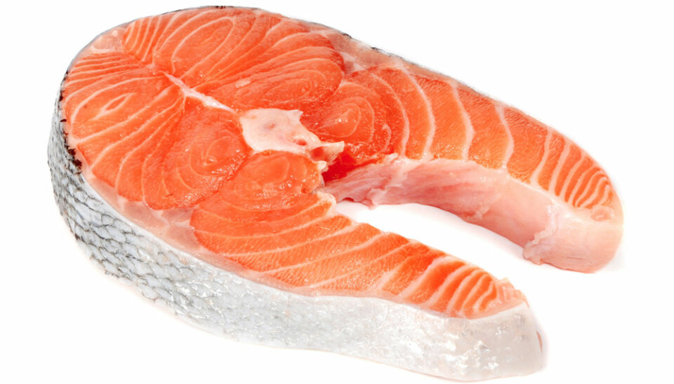 There is a larger amount of omega-6 in farmed salmon than in wild salmon. (Photo: Colourbox)