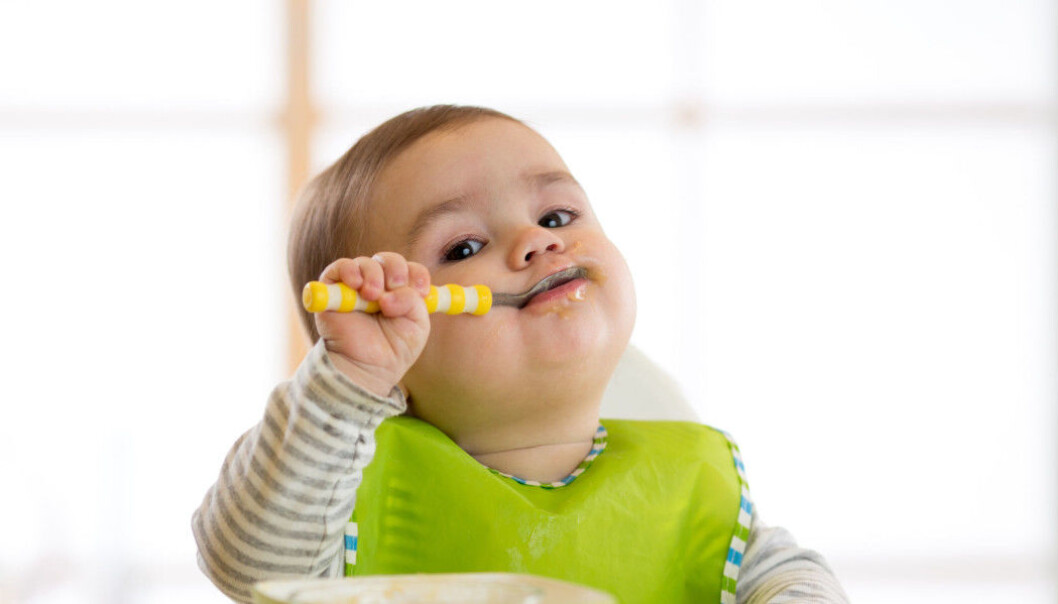 What we eat affects our intestinal bacteria. But might gut bacteria themselves affect our risk of developing obesity? (Photo: Shutterstock) What we eat affects our intestinal bacteria. But might gut bacteria themselves affect our risk of developing obesity? (Photo: Shutterstock)