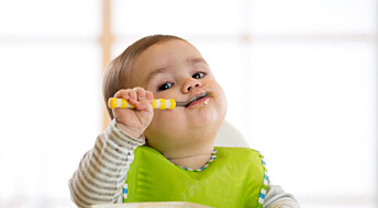 Baby's gut bacteria might predict obesity