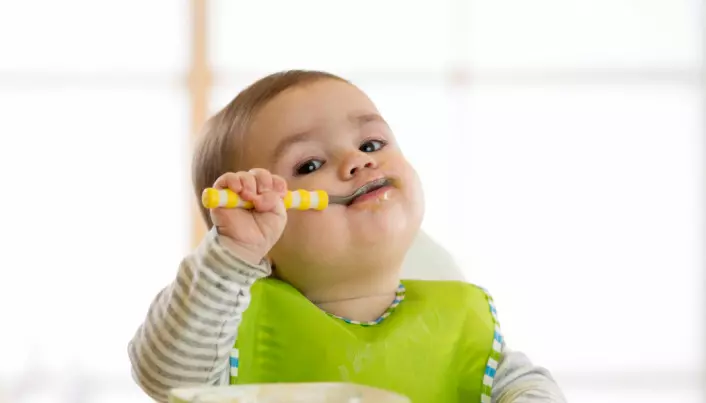 Baby's gut bacteria might predict obesity