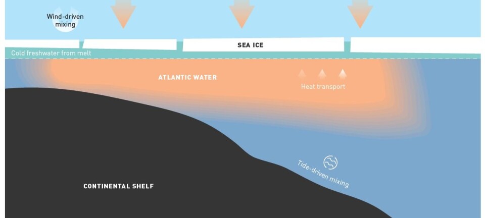 Declining sea ice is making the Arctic ocean warmer