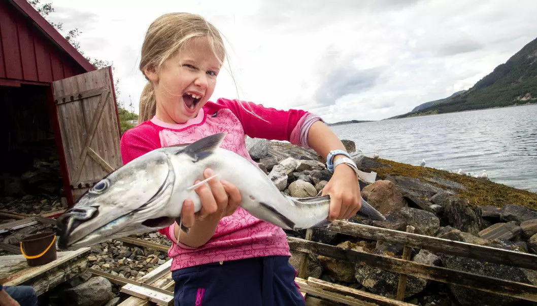 A happy girl with a newly caught coalfish.  Some places along the Norwegian coast are far richer in fish and other marine life than others.  Now scientists in Trondheim can explain why. (Photo: Gorm Kallestad / NTB scanpix)