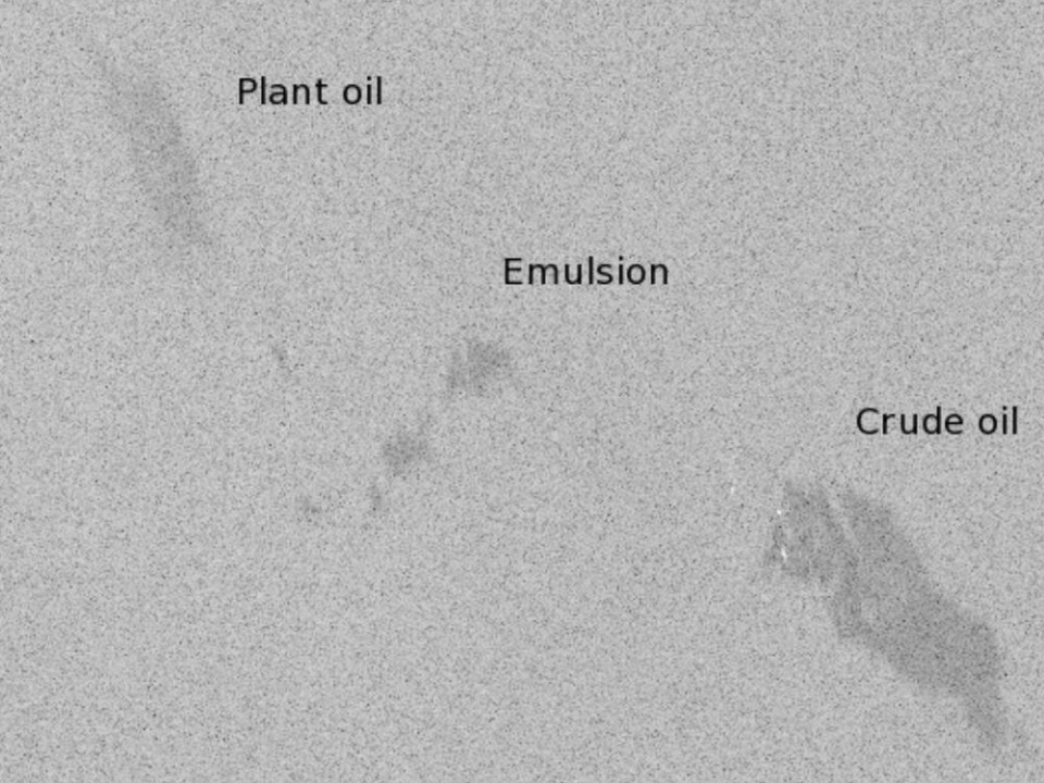 Satellite radar imagery showing an echo from three different types of oil slicks: A spill consisting of plant oil (top left), an emulsion of water and organic oil (center) and crude oil slick (bottom). The image was captured during an oil spill containment drill in the North Sea. (Image: RADARSAT-2 Data and Products © MacDONALD, DETTWILER AND ASSOCIATES LTD. (2011) − All Rights Reserved. The picture was delivered by KSAT, Tromsø)