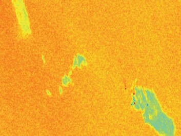 This satellite radar image shows an echo as seen with 90-degree polarisation, taken during the clean-up drill in the North Sea. Again at the top left is a slick of plant oil, at the centre is an oil and water emulsion and at the bottom right is a slick consisting of petroleum. Note the three small red dots, which are ships with trailing wakes. (Image: RADARSAT-2 Data and Products © MacDONALD, DETTWILER AND ASSOCIATES LTD. (2011) − All Rights Reserved. The image was delivered by KSAT, Tromsø) This satellite radar image shows an echo as seen with 90-degree polarisation, taken during the clean-up drill in the North Sea. Again at the top left is a slick of plant oil, at the centre is an oil and water emulsion and at the bottom right is a slick consisting of petroleum. Note the three small red dots, which are ships with trailing wakes. (Image: RADARSAT-2 Data and Products © MacDONALD, DETTWILER AND ASSOCIATES LTD. (2011) − All Rights Reserved. The image was delivered by KSAT, Tromsø)