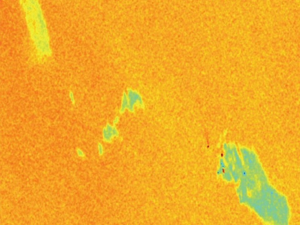 This satellite radar image shows an echo as seen with 90-degree polarisation, taken during the clean-up drill in the North Sea. Again at the top left is a slick of plant oil, at the centre is an oil and water emulsion and at the bottom right is a slick consisting of petroleum. Note the three small red dots, which are ships with trailing wakes. (Image: RADARSAT-2 Data and Products © MacDONALD, DETTWILER AND ASSOCIATES LTD. (2011) − All Rights Reserved. The image was delivered by KSAT, Tromsø)