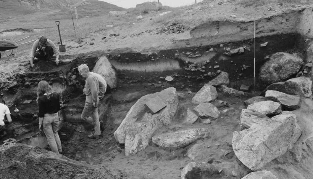 The excavation of Slettabø in Rogaland county, Norway, 1977. An important Neolithic site for understanding the Norwegian Early Stone Age. The thick cultural layers (dark, coal-bearing layers) are bounded by layers of aeolian sand. (Photo: from www.unimus.no) The excavation of Slettabø in Rogaland county, Norway, 1977. An important Neolithic site for understanding the Norwegian Early Stone Age. The thick cultural layers (dark, coal-bearing layers) are bounded by layers of aeolian sand. (Photo: from www.unimus.no)