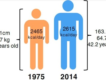 The average global adult is bigger, older and needs more food than before. (Illustration: NTNU) The average global adult is bigger, older and needs more food than before. (Illustration: NTNU)