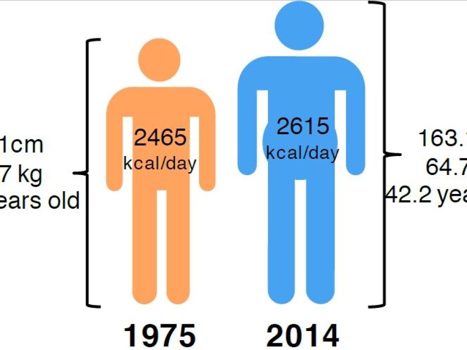 The average global adult is bigger, older and needs more food than before. (Illustration: NTNU)