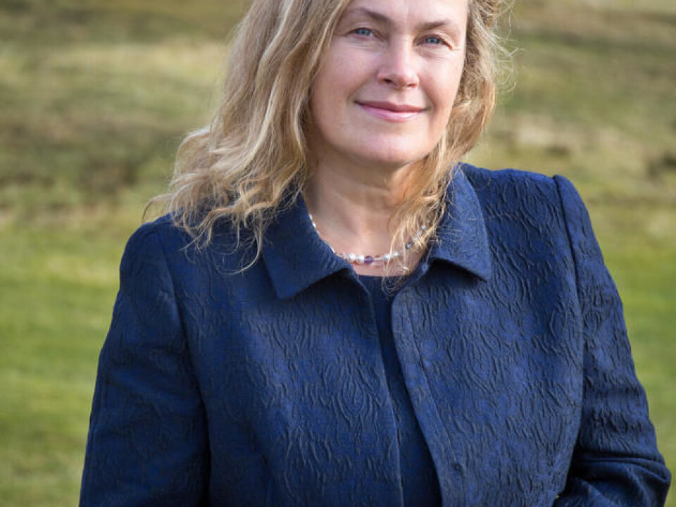 Professor Cecilie Svanes is leading a project in EU-project ALEC. (Photo: Eivind Senneset / UiB)