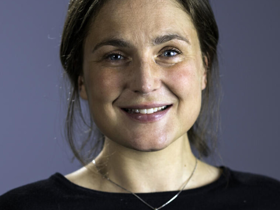 Norwegian legislation in the Arctic: In her PhD project, Erichsen can draw on her experience from the shipping industry. In addition, the research project matches her commitment to environmental protection. (Photo: André Kvalvågnes / Dragefjellet lærings- og formidlingssenter/UiB)